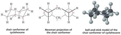 Chair conformer, Newman projection, and ball-and-stick model of cyclohexane