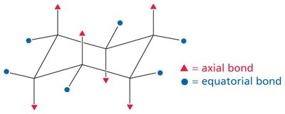 Steric interactions in cyclohexane