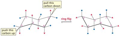 Cyclohexane ring flip