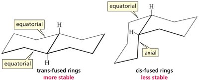 trans- and cis-fused rings