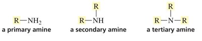 Primary, secondary, and tertiary amines