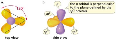 sp2 hybridization and ethene structure