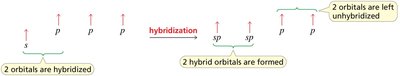 sp hybridization and ethyne structure
