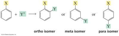 Ortho, meta, and para isomers in EAS