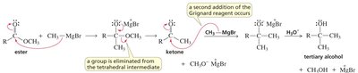 Grignard addition to ester mechanism