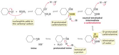 Tetrahedral compounds in imine formation