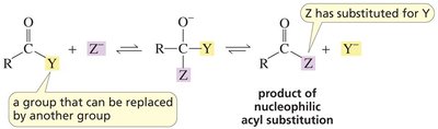 Nucleophilic acyl substitution mechanism