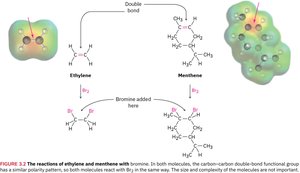 Reaction of ethylene and menthene with bromine