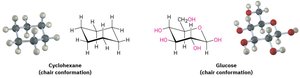 Axial and equatorial positions in cyclohexane