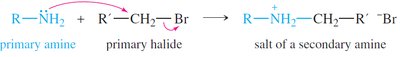 Alkylation of amines by alkyl halides
