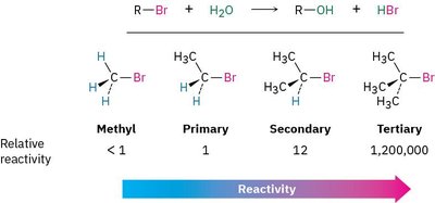 Relative reactivity of alkyl halides in SN1 reactions