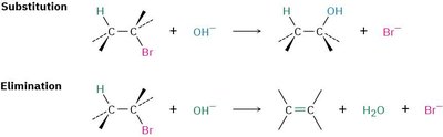 Zaitsev's rule: major and minor alkene products