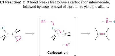 E1 reaction mechanism