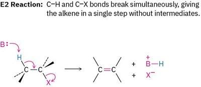 E2 reaction mechanism