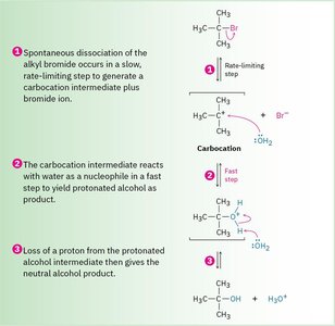SN1 reaction mechanism steps