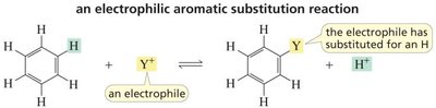 General mechanism of electrophilic aromatic substitution