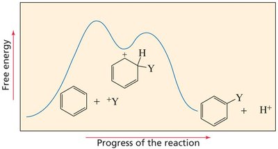 Reaction coordinate diagram for EAS