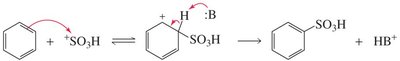 Mechanism of sulfonation