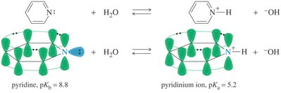 Pyridine basicity and resonance