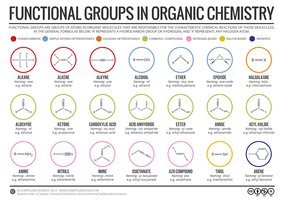 Functional groups in organic chemistry