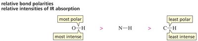 Relative bond polarities and IR intensities
