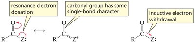 Resonance and inductive effects on IR absorption