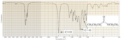 IR spectrum of an ester