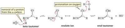 Base-catalyzed keto-enol interconversion