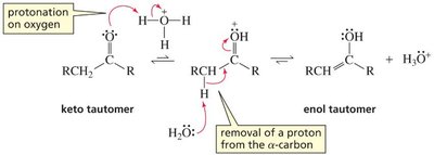 Acid-catalyzed keto-enol interconversion