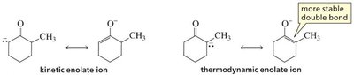 Kinetic vs thermodynamic enolate ions