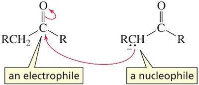 Aldol addition mechanism