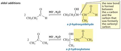 Aldol addition products