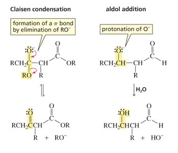 Formation of beta-keto ester anion