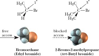 Table of common protic solvents