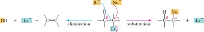 Examples of β-elimination and Zaitsev's rule