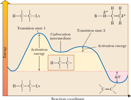 Energy diagram for E2 elimination