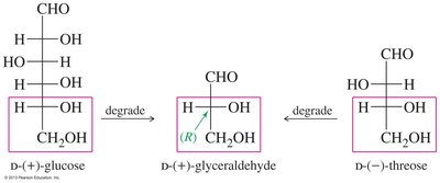 D and L assignments in sugars