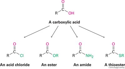 Carboxylic acid derivatives