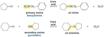 Nucleophilic addition–elimination reactions of amines