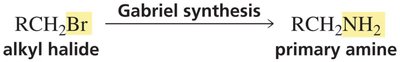 Gabriel synthesis of primary amines