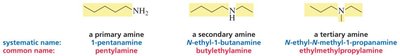 Primary, secondary, and tertiary amines nomenclature