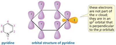 Orbital structure of pyridine