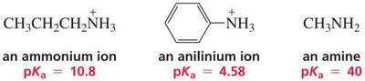 Acidity of amines and related ions