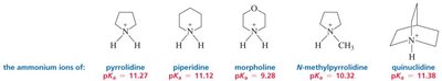 Acidity of cyclic amines