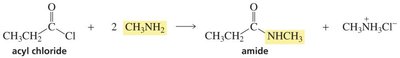 Nucleophilic acyl substitution by amines