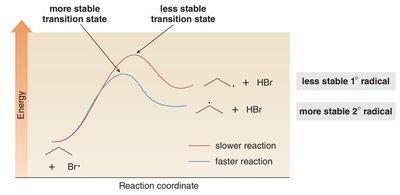 Transition state in bromination