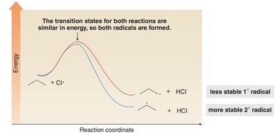 Transition state in chlorination