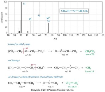 MS spectra and fragmentation of diethyl ether