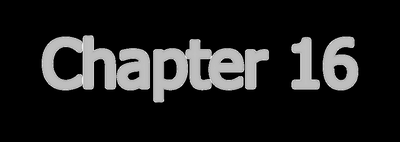 Chapter 16
