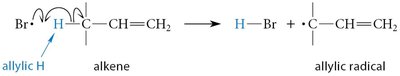 Initiation step of NBS bromination
